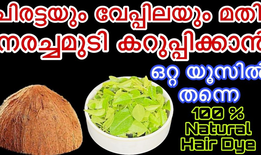 എത്ര നരച്ച മുടിയും കറുപ്പിക്കാം ഈ രണ്ടു ചേരുവകൾ മാത്രം മതി…