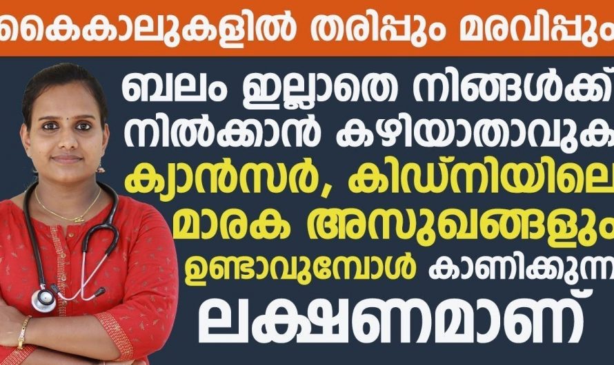 കൈകാലുകളിലെ തരിപ്പ്… ഈ കാര്യങ്ങൾ അറിയാതെ പോകരുത്.