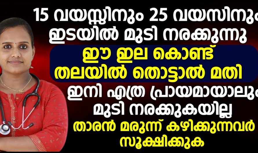 നിങ്ങൾക്ക് അകാലനരയുണ്ടോ ? കാരണങ്ങൾ ഇതെല്ലാം ആണ്..