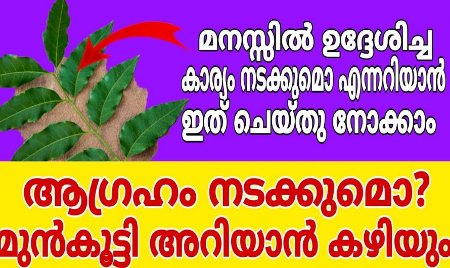 നിങ്ങൾ മനസ്സിൽ വിചാരിച്ച കാര്യം നടക്കുമോ ഇല്ലയോ എന്ന് അറിയാൻ ഇങ്ങനെ ചെയ്തു നോക്കൂ…