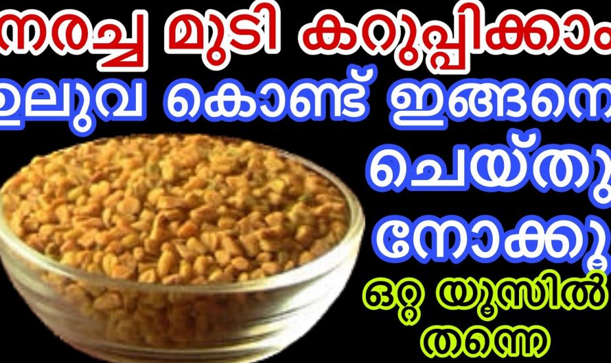 നരച്ച മുടി കറുപ്പിക്കാനുള്ള ഡൈ വീട്ടിൽ തന്നെ ഉണ്ടാക്കാം…