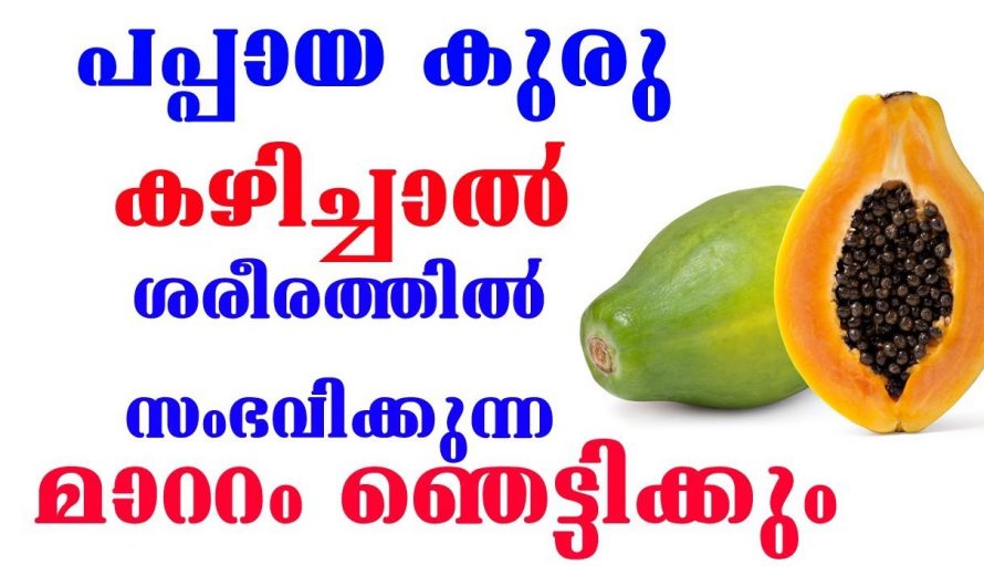 ആരെയും ഞെട്ടിക്കുന്ന പപ്പായയുടെ അത്ഭുത ഗുണങ്ങൾ…