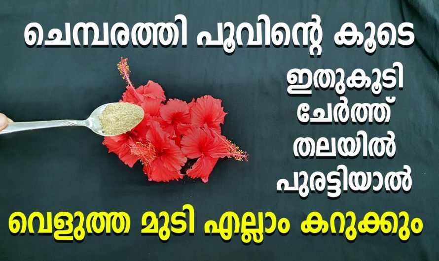 വീട്ടിൽ ഇങ്ങനെ ചെയ്താൽ അകാലനര പൂർണമായി മാറ്റാം…