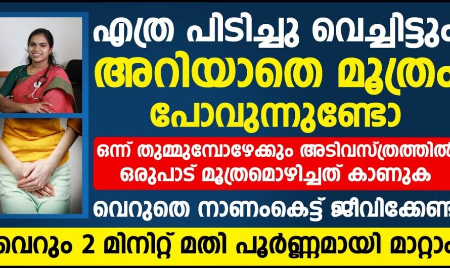 മൂത്രശങ്ക ഉള്ളവർ ഇനി മടിച്ചു നിൽക്കണ്ട ഇതാ ഒരു ഉഗ്രൻ പ്രതിവിധി..