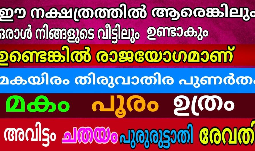 നേട്ടത്തിലേക്കും ഉയർച്ചയിലേക്കും പോകുന്ന ആ ഭാഗ്യ നക്ഷത്രക്കാർ നിങ്ങളാണോ….