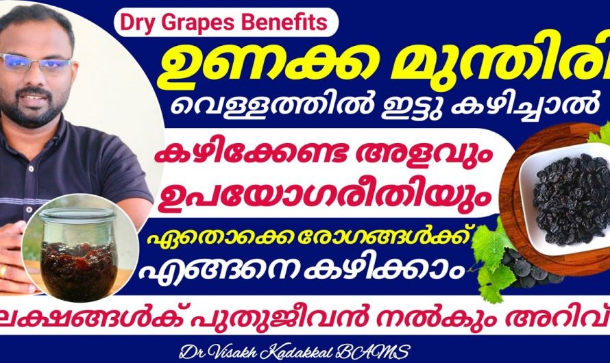 ഉണക്കമുന്തിരി ഇങ്ങനെ കഴിച്ചു നോക്കൂ,. ഗുണങ്ങൾ ഏറെയാണ്..