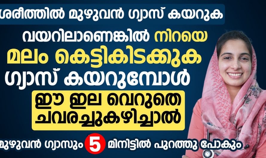 ഈ കാര്യങ്ങൾ മനസ്സിലാക്കിയാൽ ഒരിക്കലും മലബന്ധവും അസ്വസ്ഥതകളും ഉണ്ടാവില്ല….