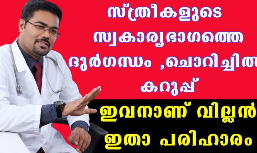 ഈ കാര്യങ്ങൾ ശ്രദ്ധിച്ചില്ലെങ്കിൽ സ്വകാര്യ ഭാഗത്തെ ചൊറിച്ചിലും കറുപ്പ് നിറവും ഒരിക്കലും വിട്ടുമാറില്ല…