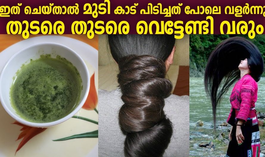 ഇത് ഉപയോഗിച്ചവർ ആരും ഇനി മുടി വളരുന്നില്ല എന്ന് പറയില്ല…