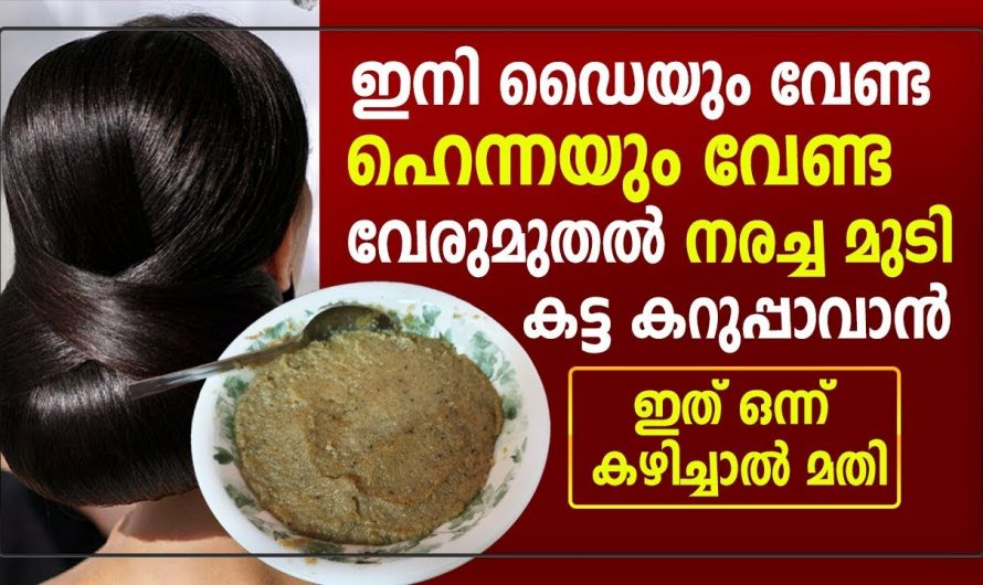 മുടി കറുക്കാൻ ആരും പറഞ്ഞു തരാത്ത ഒരു വിദ്യ…