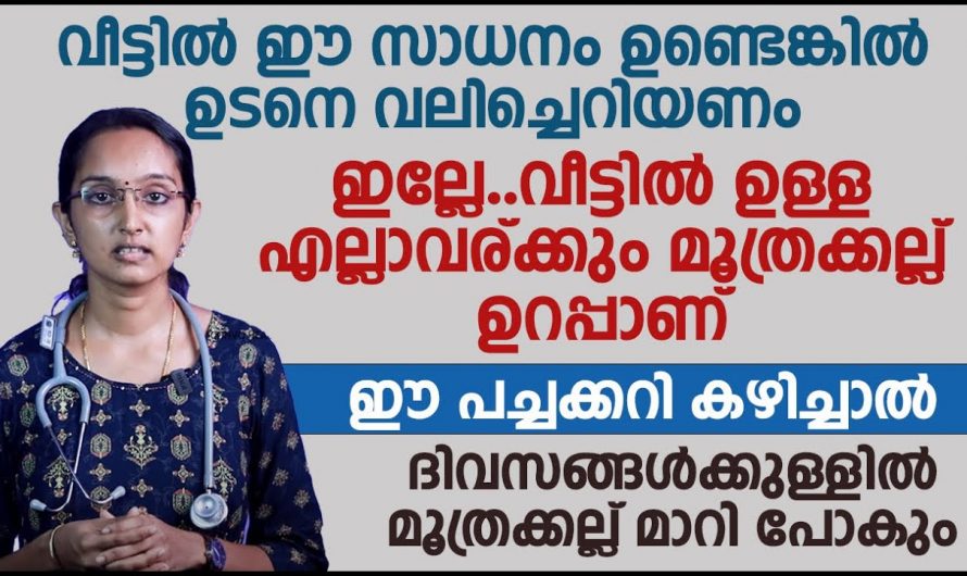 നിങ്ങൾ ചെയ്യുന്ന ഈ തെറ്റുകളാണ് കിഡ്നി സ്റ്റോൺ ഉണ്ടാക്കുന്നത്…