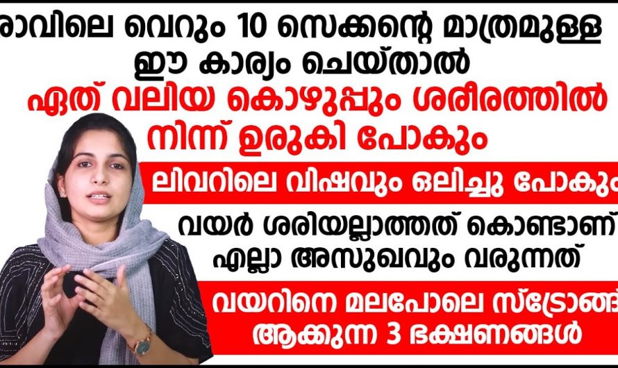 വയറിലെ അസ്വസ്ഥതകൾ മാറണമെങ്കിൽ ഇവ പൂർണ്ണമായും ഒഴിവാക്കണം…