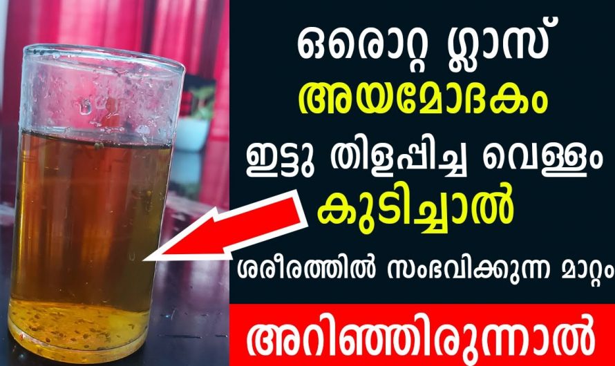 ഈ സാധനം വീട്ടിലുണ്ടെങ്കിൽ ഒട്ടുമിക്ക രോഗങ്ങളും പമ്പകടക്കും…