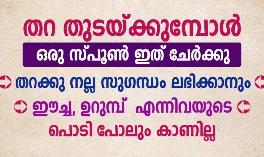 വീട് വൃത്തിയാക്കാൻ ഇനി യാതൊരു കാശ് ചെലവുമില്ല…