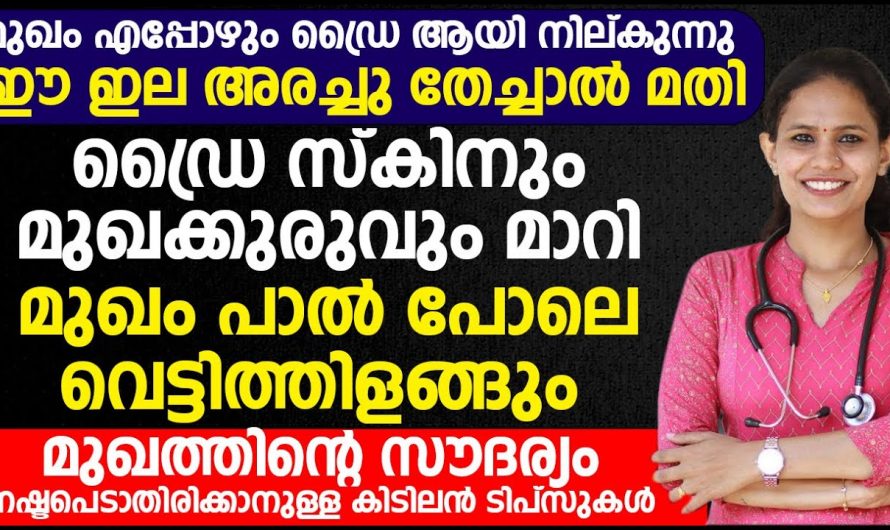 വരണ്ട ചർമത്തിന് ഒരു ശാശ്വത പരിഹാരം…. ഇത്രയും ചെയ്താൽ മതി