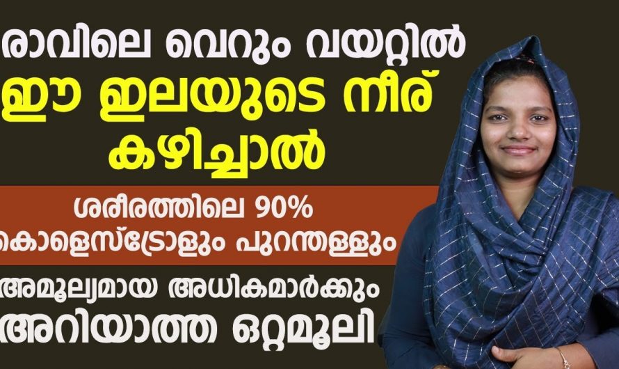 കൊളസ്ട്രോളിനെ പൂർണ്ണമായും ഇല്ലാതാക്കാൻ ഈ കാര്യങ്ങൾ ശ്രദ്ധിക്കണം…