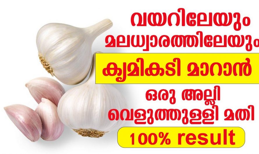 വിരശല്യം മാറാൻ ഒരു വെളുത്തുള്ളി മാത്രം മതി.. ഉറപ്പായും റിസൾട്ട്‌ കിട്ടും..