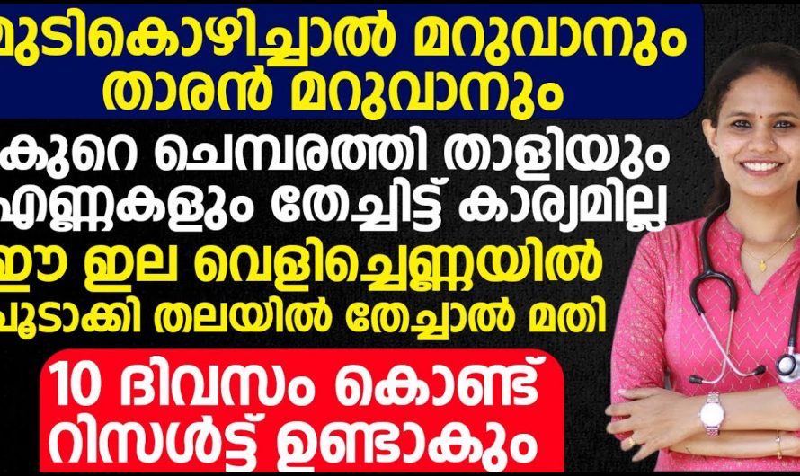 മുടി തഴച്ചു വളരാൻ ഇത്രയും ചെയ്താൽ മതി… ഇത് അറിഞ്ഞില്ലെങ്കിൽ  ഒരിക്കലും മുടി വളരില്ല