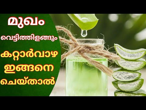 മുഖത്തെ കരിവാളിപ്പം പാടുകളും പൂർണ്ണമായും മാറ്റുവാൻ അല്പം കറ്റാർവാഴ മതി… ഉറപ്പായും 100% റിസൾട്ട് കിട്ടും..