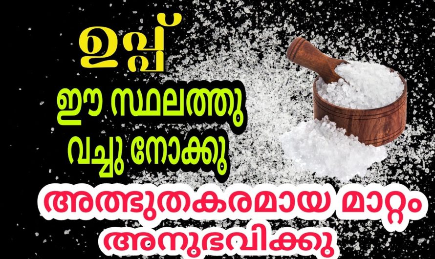 അടുക്കളയുടെ ഈ ഭാഗത്താണ് ഉപ്പു സൂക്ഷിച്ചിരിക്കുന്നത് എങ്കിൽ നേട്ടവും അഭിവൃദ്ധിയും നിങ്ങളെ തേടി വരും…