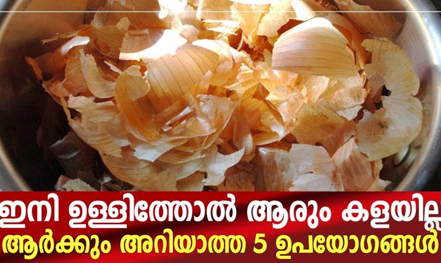 ഉള്ളിത്തൊലിയുടെ ഈ ഉപയോഗങ്ങൾ അറിഞ്ഞാൽ ഇനിയാരും ഇത് വലിച്ചെറിയില്ല….