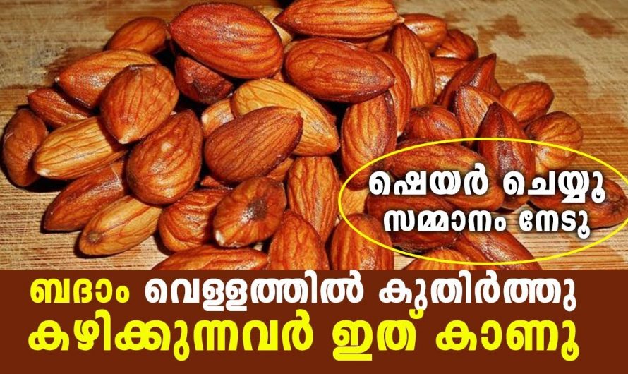 വെറും വയറ്റിൽ ബദാം കഴിച്ചാൽ പലതുണ്ട് ഗുണങ്ങൾ…