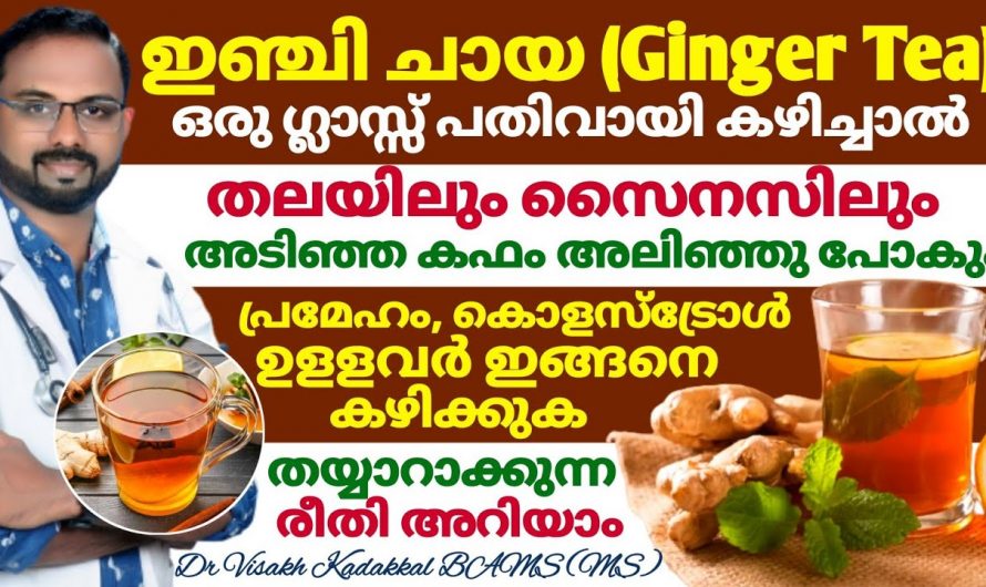 ദിവസവും ഇഞ്ചി ചായ കുടിച്ചാൽ പലതുണ്ട് ഗുണങ്ങൾ, ക്യാൻസറും പ്രമേഹവും അടുക്കില്ല…