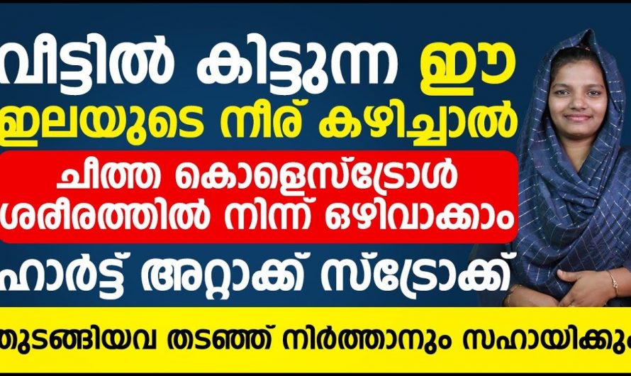 ഇത് പൂർണ്ണമായി ഒഴിവാക്കി ഇല്ലെങ്കിൽ കൊളസ്ട്രോൾ ജീവിതത്തെ ഒരിക്കലും കുറയുകയില്ല….