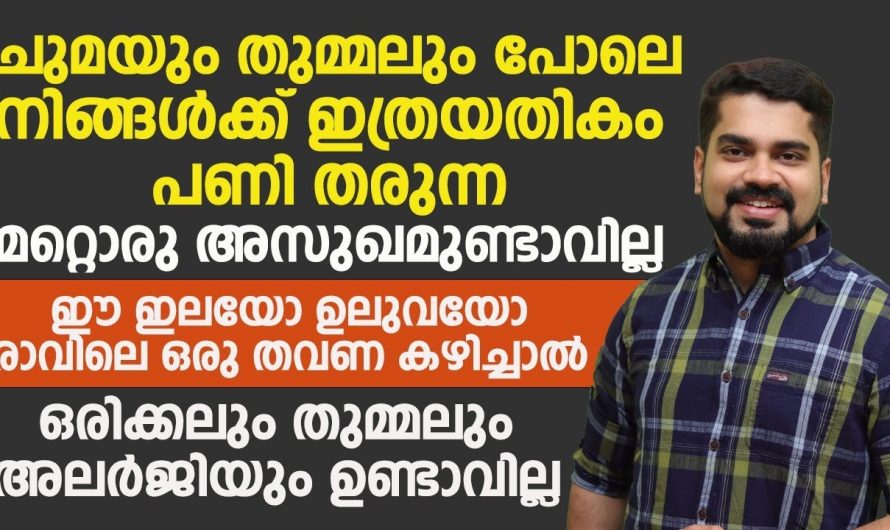 അലർജി ജീവിതത്തിൽ നിന്ന് വിട്ടുമാറണമെങ്കിൽ നിങ്ങൾ ചെയ്യേണ്ടത് ഇതാണ്.. ഒരു ശാശ്വത പരിഹാരം..