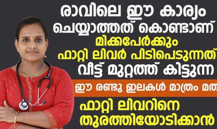 ഈ ഭക്ഷണം കഴിക്കുന്നത് കൊണ്ടാണ് ഫാറ്റി ലിവർ ഉണ്ടാകുന്നത്.. ഇത് പൂർണ്ണമായും ഒഴിവാക്കുക..