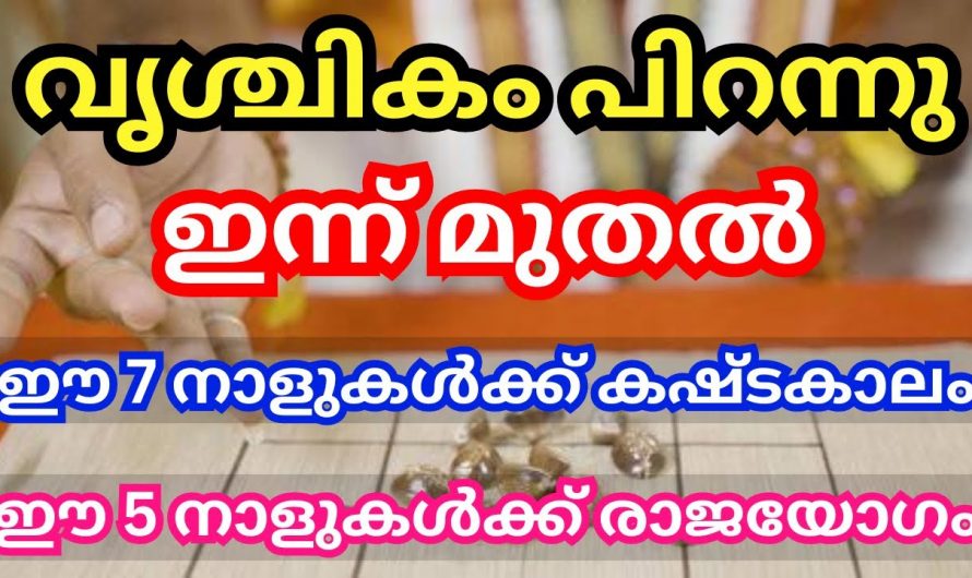 വൃശ്ചികമാസം ഈ നക്ഷത്രക്കാരുടെ ജീവിതത്തിൽ ഞെട്ടിക്കുന്ന അത്ഭുതങ്ങൾ കൊണ്ടുവരും..