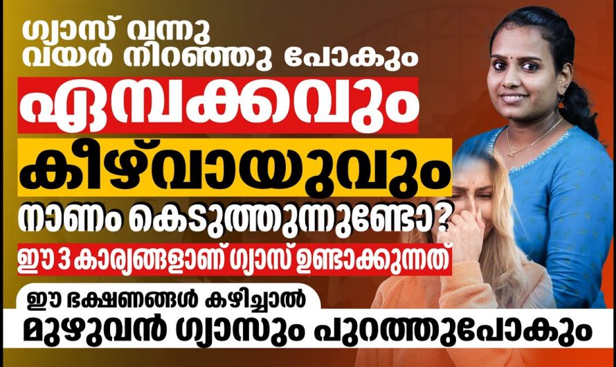 മലബന്ധം കൊണ്ട് ഇനിയാരും ബുദ്ധിമുട്ടേണ്ടി വരില്ല, ഇതാ അതിനുള്ള പരിഹാരം…