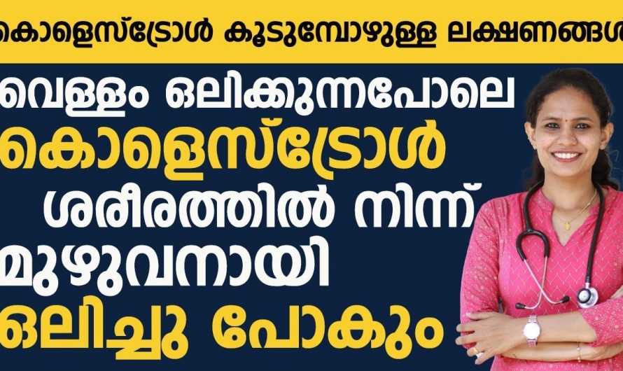 ഈ ഭക്ഷണം നിങ്ങൾ ഒഴിവാക്കി ഇല്ലെങ്കിൽ കൊളസ്ട്രോൾ ഒരിക്കലും കുറയുകയില്ല…