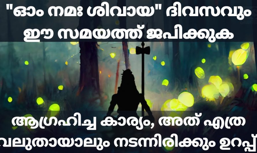 ഓം നമശിവായ എന്ന മന്ത്രം ദിവസവും ജപിച്ചാൽ ജീവിതം മാറിമറിയും, നിങ്ങളുടെ ഏത് ആഗ്രഹവും നടക്കും…