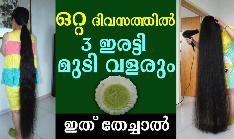 മുടി പനംകുല പോലെ തഴച്ചു വളരാൻ അലോവേര ഇങ്ങനെ ഉപയോഗിച്ചു നോക്കൂ….