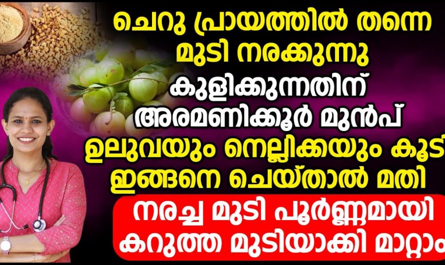 ജീവിതത്തിൽ ഒരിക്കലും മുടി നരക്കില്ല.. ഈ കാര്യം നിങ്ങൾ ശ്രദ്ധിച്ചാൽ മതി…