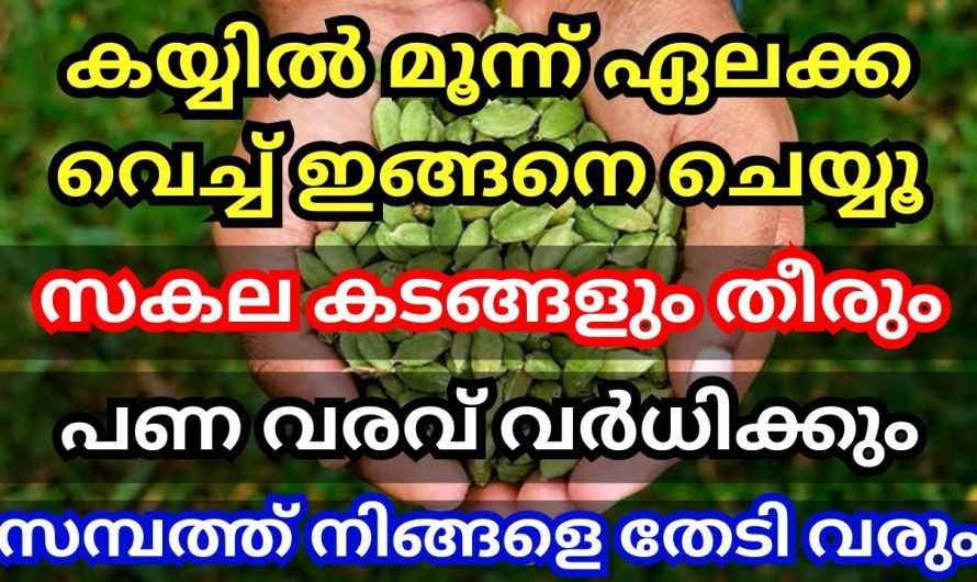 വീട്ടിൽ ഏലക്ക ഉണ്ടെങ്കിൽ ഈയൊരു കർമ്മം ചെയ്യൂ സമ്പത്ത് കുമിഞ്ഞു കൂടും, ധനം പെരുകും…