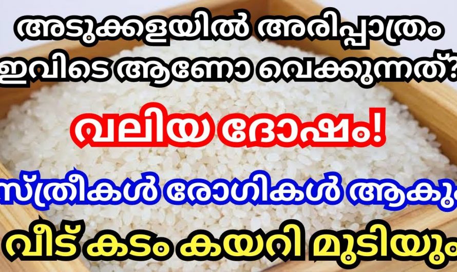 അടുക്കളയിൽ അരി പാത്രം ഈ ഭിത്തിയോട് ചേർന്നുവയ്ക്കുക, ധനവും സമ്പത്തും ഒഴുകിവരും…