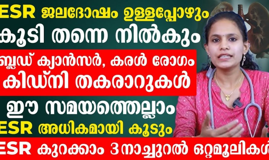 രക്തത്തിൽ ഇ എസ് ആർ കൂടുതലാണെങ്കിൽ നിസാരമായി തള്ളിക്കളയരുത് മാരകമായ ചില രോഗങ്ങളുടെ ലക്ഷണം ആണ്..