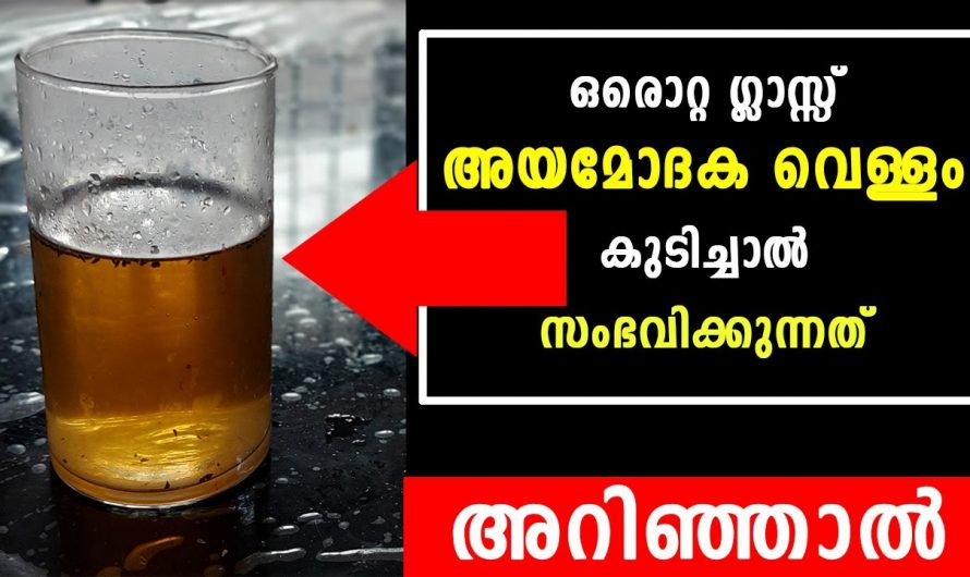 അയമോദകം കഴിച്ചാൽ പലതുണ്ട് ഗുണങ്ങൾ.. വൃക്കയും കരളും ക്ലീൻ ആകും…