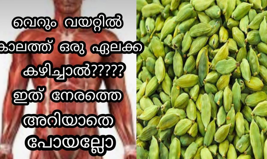 ദിവസവും ഒരു ഏലക്ക കഴിച്ചാൽ നിങ്ങൾക്ക് ലഭിക്കുന്ന ആരോഗ്യഗുണങ്ങൾ ചെറുതല്ല…