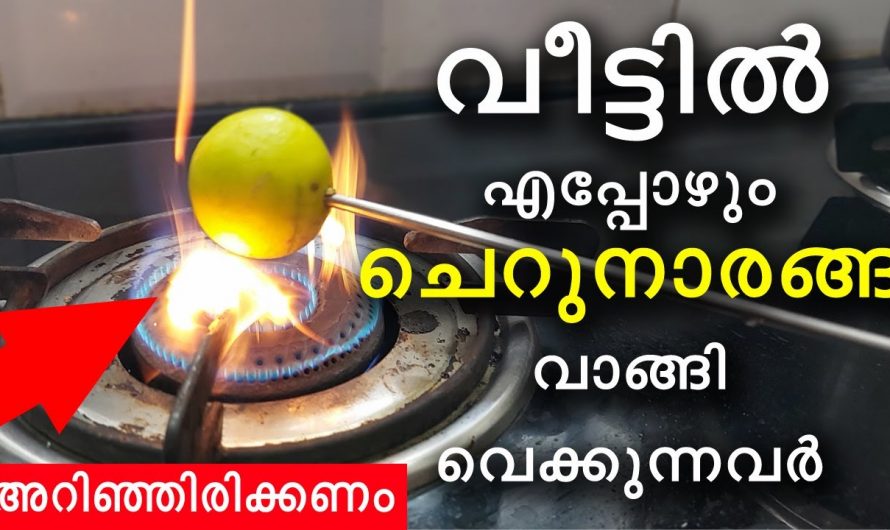 പ്രമേഹവും അമിതവണ്ണവും ഇല്ലാതാക്കാൻ ദിവസവും ഒരു ചെറുനാരങ്ങ മതി…