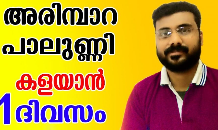 അരിമ്പാറയും പാലുണ്ണിയും വീട്ടിൽ തന്നെ മാറ്റാം, ഒറ്റ യൂസിൽ റിസൾട്ട് കിട്ടും പൊടിക്കൈകൾ…