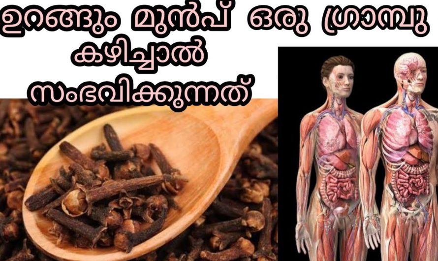 ദിവസവും ഗ്രാമ്പു കഴിക്കുന്നത് ശീലമാക്കിയാൽ ലഭിക്കുന്ന ഗുണങ്ങൾ ഏറെയാണ്…