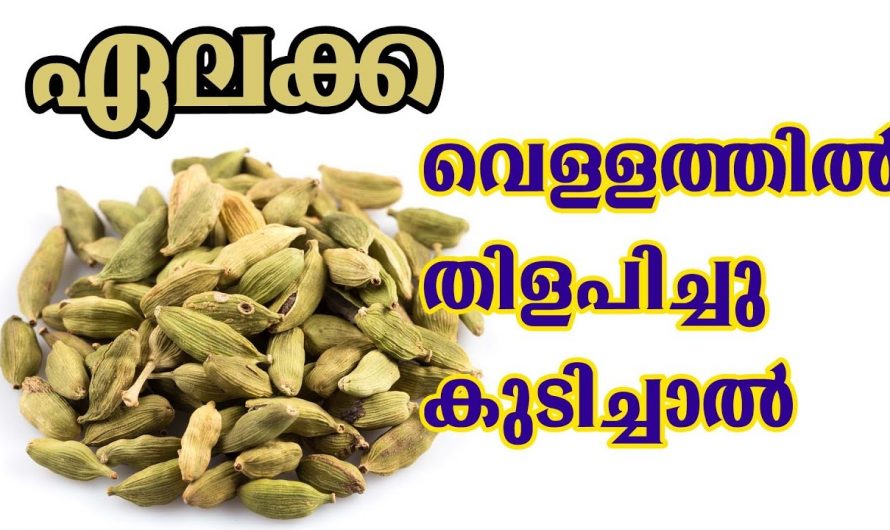 ഏലക്കയുടെ ആരോഗ്യഗുണങ്ങൾ അറിഞ്ഞാൽ ആരും ഇത് കഴിച്ചു പോകും…