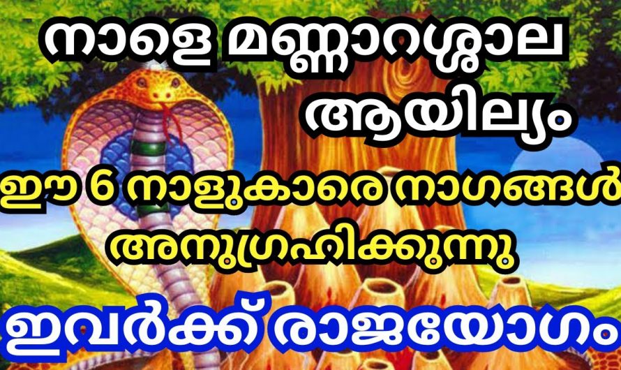 നാളത്തെ ആയില്യം കഴിഞ്ഞാൽ, ഈ നക്ഷത്രക്കാർ ലോകത്തെ ഏറ്റവും വലിയ ഭാഗ്യവാന്മാർ…