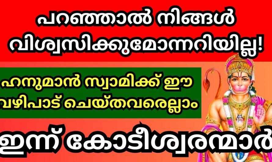 ഹനുമാൻ സ്വാമിക്ക് ഈ വഴിപാട് സമർപ്പിച്ചാൽ നിങ്ങളുടെ ഏത് ആഗ്രഹവും സാധിക്കും…