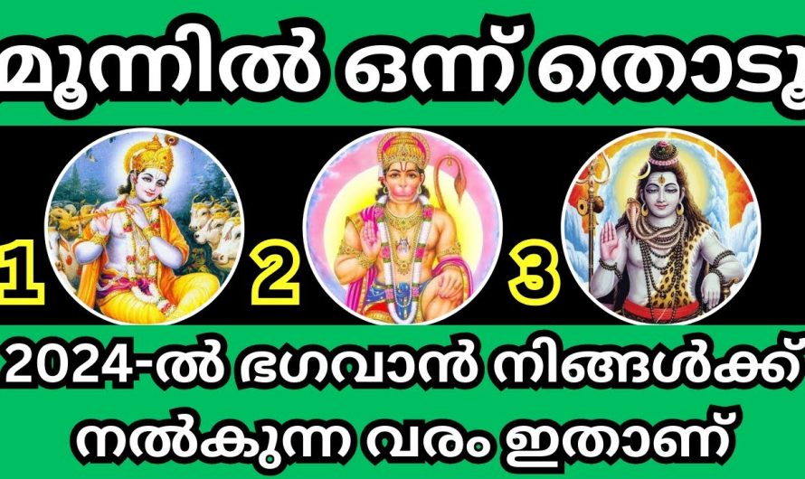 മൂന്നിൽ ഒന്ന് തിരഞ്ഞെടുക്കു, 2024ൽ നിങ്ങളുടെ ജീവിതത്തിൽ എന്ത് സംഭവിക്കും എന്ന് അറിയാം…