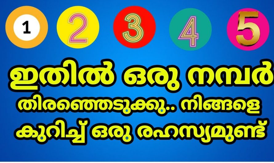 ഇതിൽനിന്ന് ഒരു നമ്പർ തിരഞ്ഞെടുക്കൂ, നിങ്ങളുടെ ജീവിതത്തിൽ ഇനി എന്ത് സംഭവിക്കും എന്ന് അറിയാം…