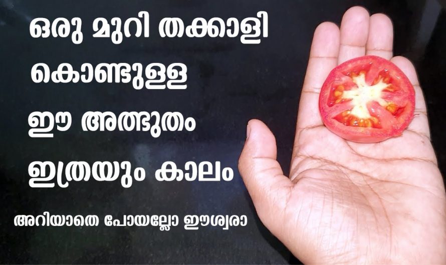 ഈ മൂന്ന് ചേരുവകൾ ഉണ്ടെങ്കിൽ മുഖം സ്വർണം പോലെ തിളങ്ങും, ഒരു കിടിലൻ ടിപ്പ്..